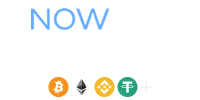 NowPayments